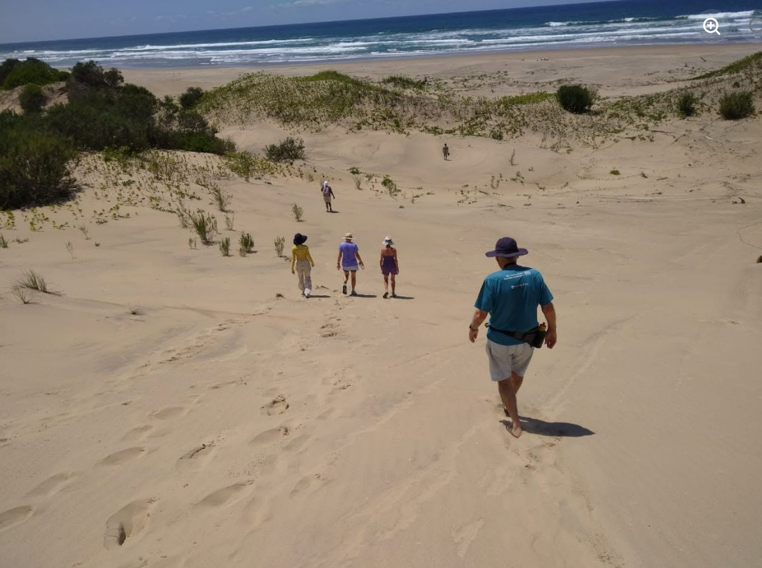 Coastal forest path near the Wild Coast